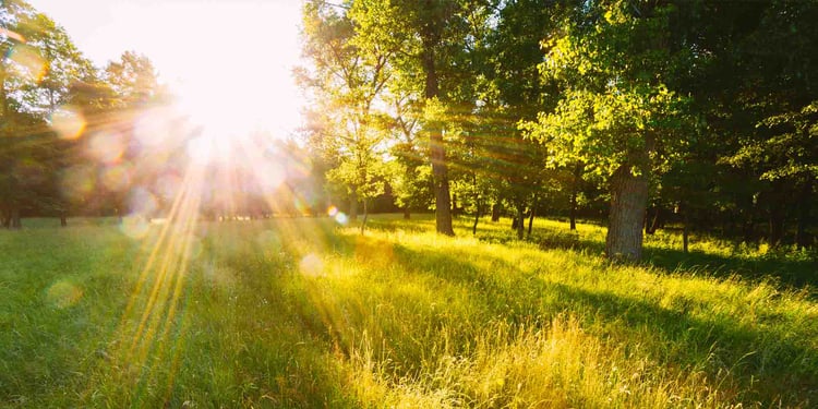 Foto_Sonne